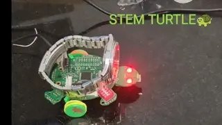 STEM Turtle